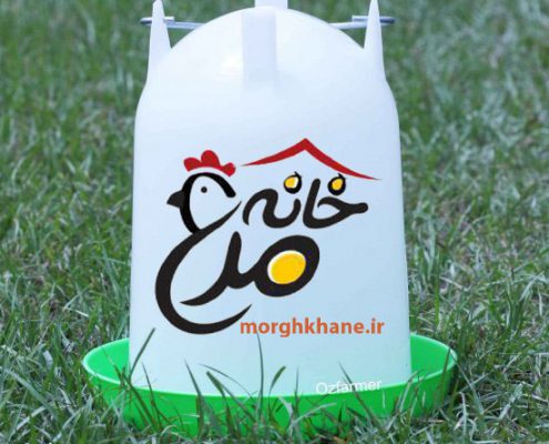 قیمت آبخوری کله قندی طیور