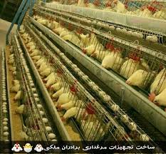 دانخوری مرغداری