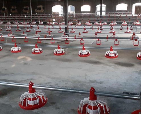 قیمت دانخوری اتوماتیک